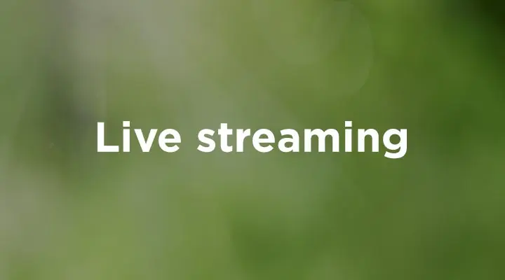 communications company: live streaming